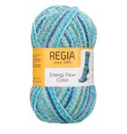 Regia Energy Flow Color 300м/100g 9801639