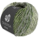 Lana Grossa Diversa print 99907752