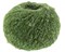 Lana Grossa Cocco 0101806